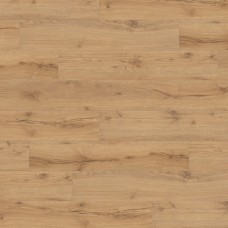Alpine Oak Nature